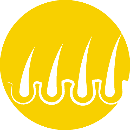 Speeds hair growth